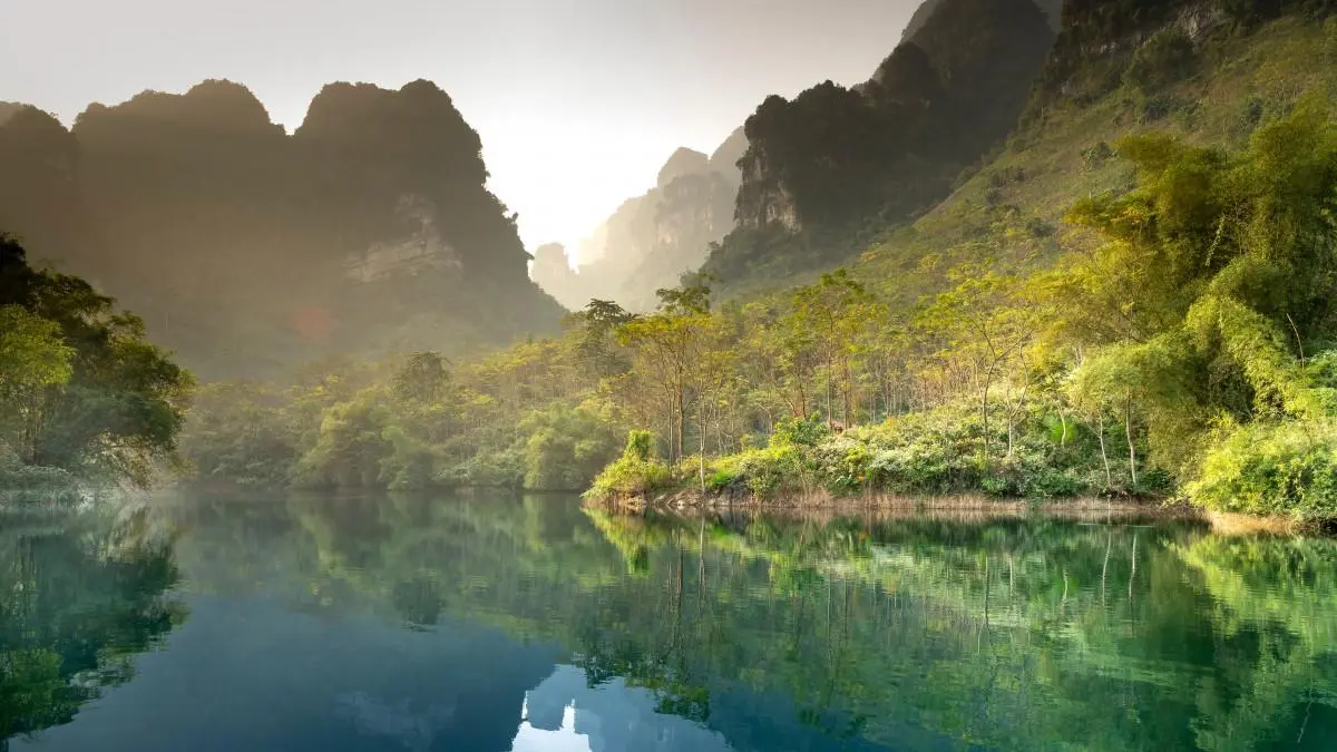 高标准高标准